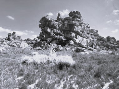 New book (Dez. 2025)